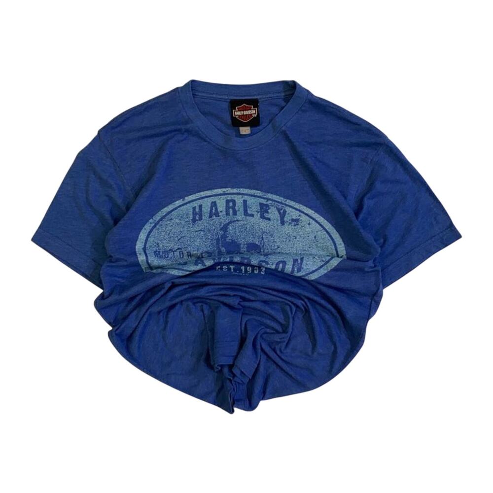 Harley Davidson Men's Skull and Crossbones Short Sleeve T Shirt Blue S